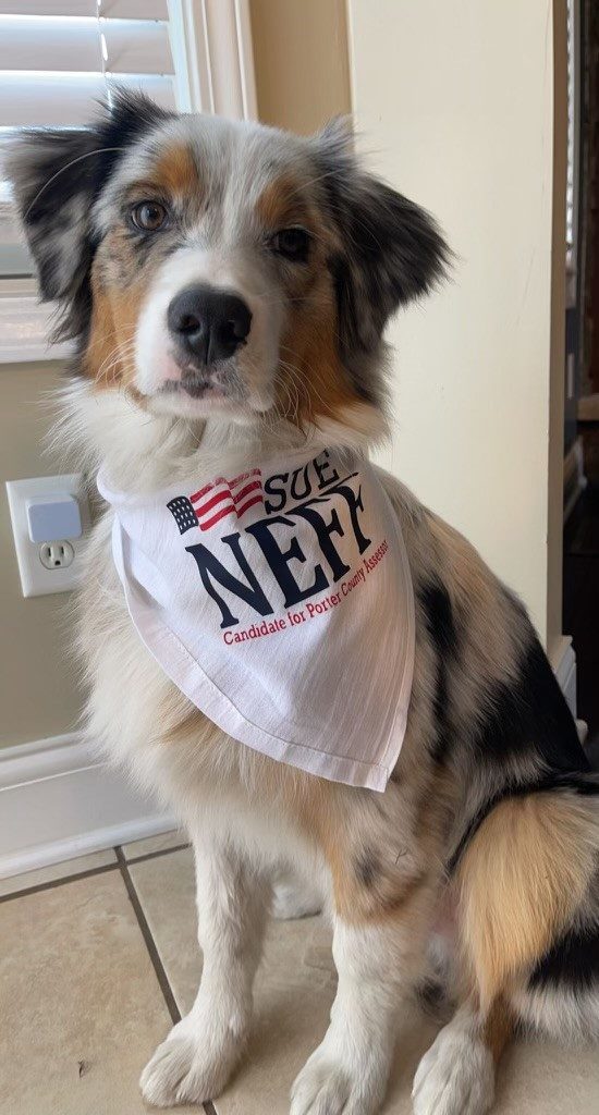 Knox, the Team Neff mascot, wearing a Neff bandana